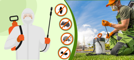 Emergency Pest Control Croydon